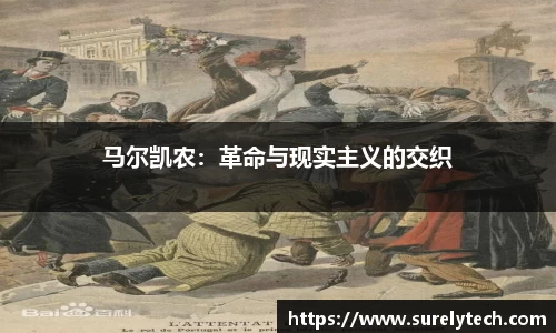 BB视讯手机下载